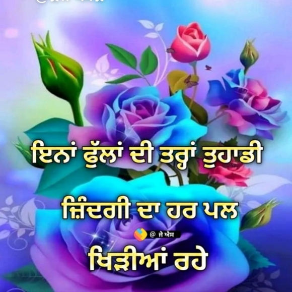 Meet your Posher, Maneet - Picture 1 of 1